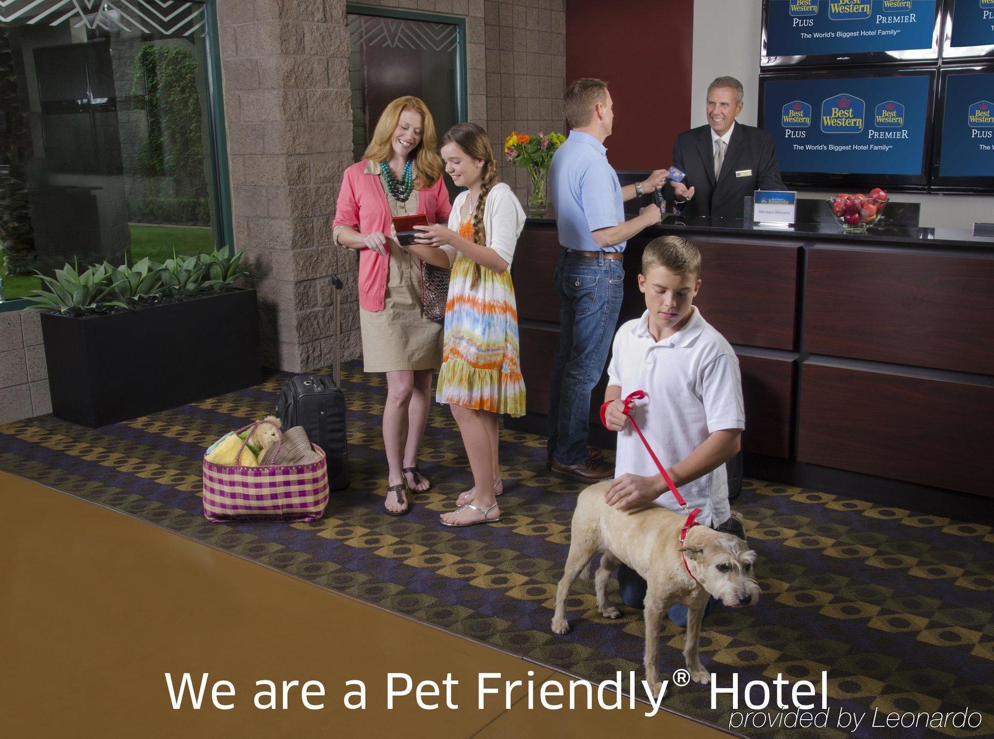 Best Western Plus A Wayfarer'S Inn & Suites Kingman Eksteriør bilde